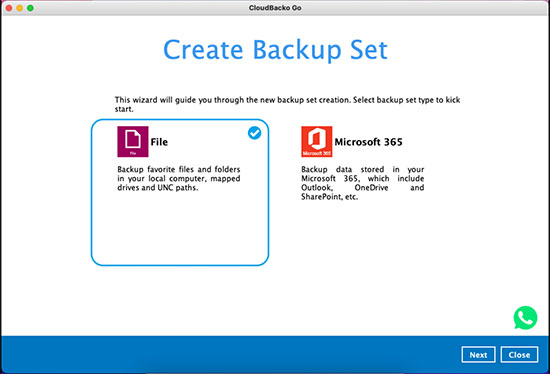 3. Select the Backup Set Type “MS SQL Server Backup”.